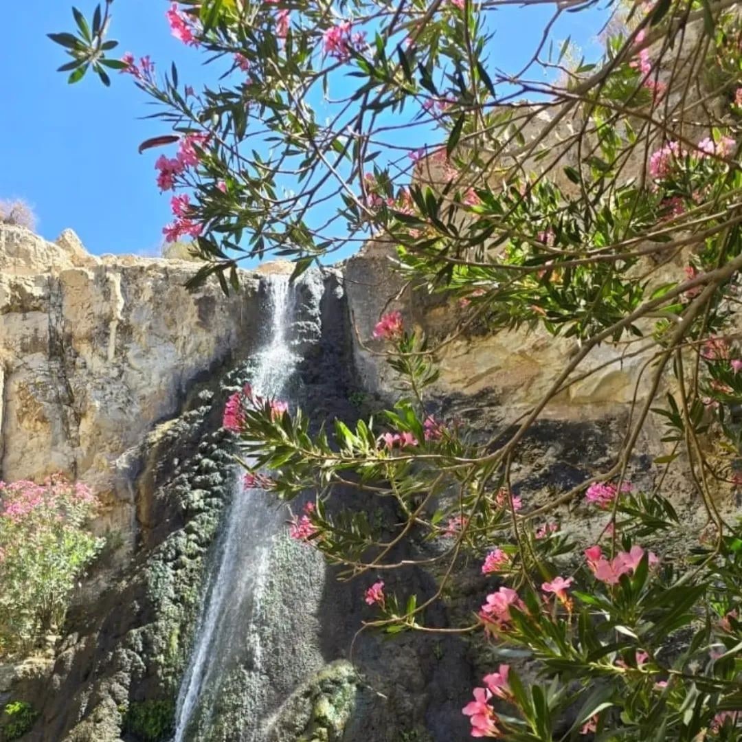 A waterfall behind branches with pink blossoms